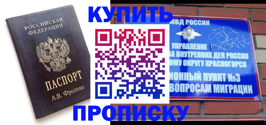 прописка поиск в Закаменске
